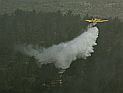 Лесной пожар в округе Шарон: пожарные самолеты локализовали огонь
