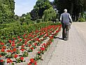 Продолжаются розыски пропавшего в Бейт-Шеане 81-летнего туриста из США