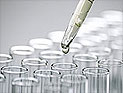 Закон, обязывающий нелегалов сдать образец ДНК, принят в предварительном чтении
