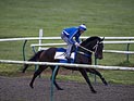 Royal Ascot ужесточает дресс-код: 