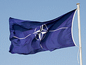NATO проведет экстренное совещание по сбитому над Сирией турецкому самолету