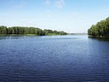В США обнаружена рыба с 