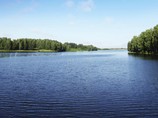 В США обнаружена рыба с 