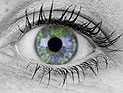 Ученые разработали метод определения сексуальной ориентации по зрачкам