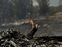 Пожар в лесу возле Бен-Шемена тушат 15 пожарных расчетов