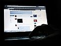 Facebook не дремлет: подросток, игравший с котом, приговорен к домашнему аресту