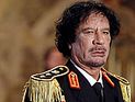 Сын Каддафи погиб через год после отца