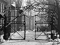 В возрасте 108 лет скончался самый пожилой из бывших заключенных Освенцима