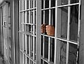 Мятеж в крупнейшей тюрьме Шри-Ланки: не менее 27 погибших, у заключенных были пулеметы