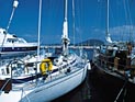 Пропала британская миллионерша, вышедшая в  одиночку в море на яхте Seagair