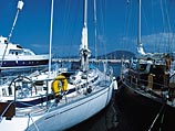 Пропала британская миллионерша, вышедшая в одиночку в море на яхте Seagair