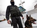 Предотвратить теракт в Варшаве помогли 