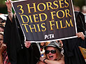 PETA выступила против