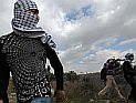 Беспорядки в Самарии: ранены два военнослужащих ЦАХАЛ и сотрудник МАГАВ