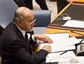 Франция предостерегает палестинцев от преследования Израиля в суде Гааги