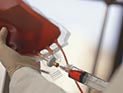 Израильтянка скончалась после переливания крови от больного западно-нильской лихорадкой