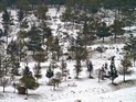 На севере Голанских высот пошел снег: занятия в школах района отменены