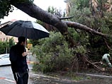 Правительство выделило 8 млн шекелей на компенсацию ущерба, причиненного наводнением