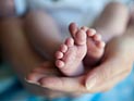 Британка Клэр Ормрод родила сына и дочь с промежутком 8 месяцев