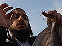 Министр сельского хозяйства: нашествие саранчи пока не причинило большого ущерба
