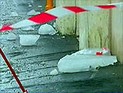 Глава города, где 7-летнюю девочку убила упавшая с крыши сосулька, ушел в отставку