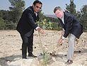 Губернатор штата Колорадо посадил дерево в Иерусалимских горах. ФОТО