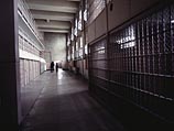 Украинская журналистка разоблачила израильских сутенеров