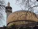 Волонтеры еврейской организации 