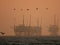 Ливанский министр: Израиль может выкачивать нашу нефть