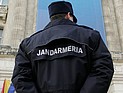 Румынка сожгла в печи картины Пикассо, Моне и Матисса