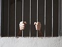 Шестеро, изнасиловавшие швейцарскую туристку в Индии, получили пожизненные сроки