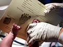 Наиболее популярные имена Великобритании – Гарри и Мухаммад