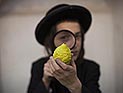 Израиль готовится к празднику Суккот