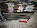 Полиция: Карина Бриль призналась в убийстве своих детей