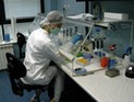 В России создано лекарство от рака на основе грудного молока