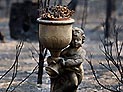 Лесные пожары наступают на Сидней