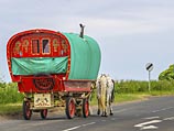 В Ирландии обнаружена еще одна похищенная цыганами голубоглазая девочка