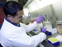 Ученые приблизились к изобретению вакцины от ВИЧ