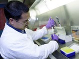 Ученые приблизились к изобретению вакцины от ВИЧ