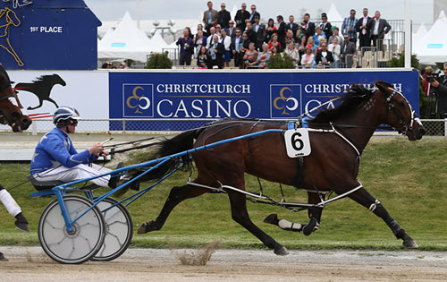 Trotting Cup 2013 Trotting Cup 2013