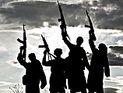 Замминистра обороны РФ: в Сирии воюют тысячи европейских боевиков