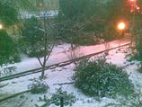 Снег в Гуш-Эционе. 12 декабря 2013 года