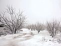 На Голанах выпало меньше снега, чем в Иерусалиме