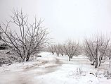 Снег на Голанских высотах (архив)