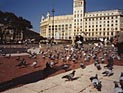 Власти Барселоны запретили кормить голубей и бездомных кошек: штраф – 750 евро

