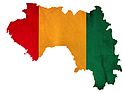В Гвинее вспыхнула эпидемия вируса эбола, 34 человека умерли