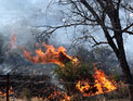 Жара в Израиле: пожары в Иерусалиме, Хадере и Самарии