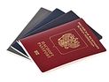 В России введена уголовная ответственность за сокрытие второго гражданства