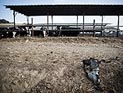 Две ракеты разорвались на территории районного совета Сдот-Негев