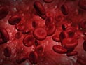 Ученые протестировали первый биореактор, производящий человеческие тромбоциты